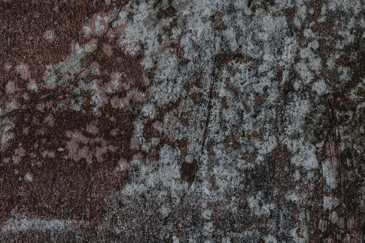 Close-up of a cracked masonry wall with brown stains and a white bloom of mildew spreading across the surface.